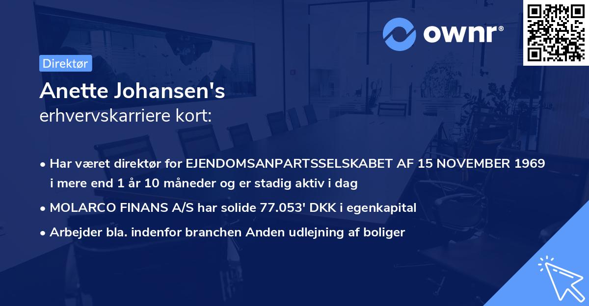 Anette Johansen's erhvervskarriere kort