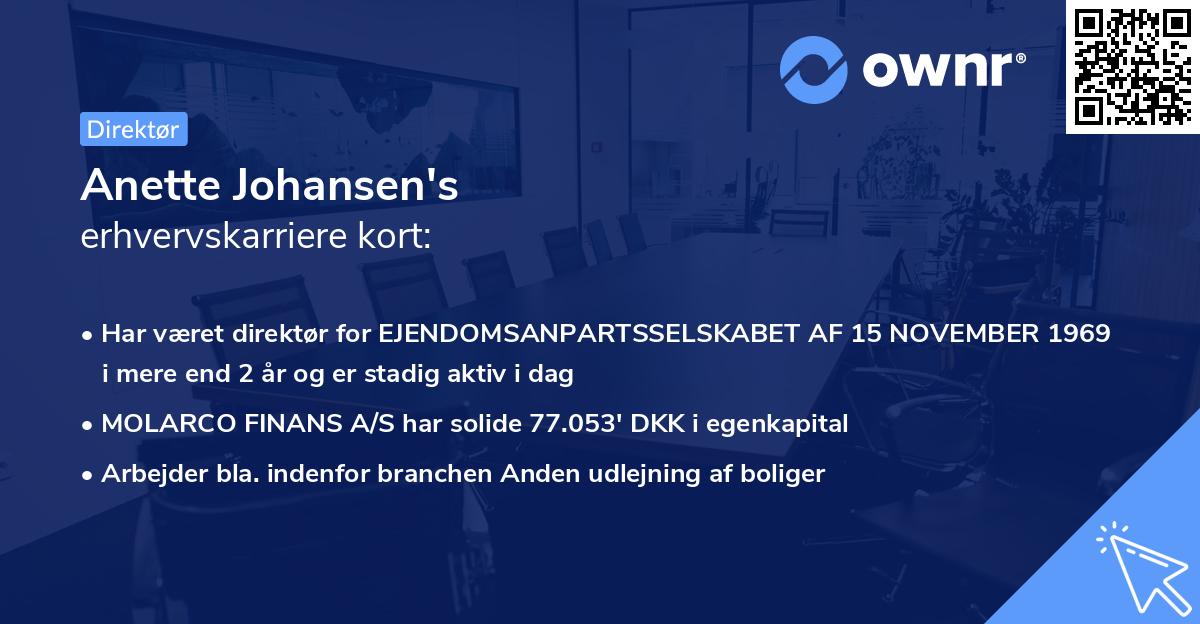 Anette Johansen's erhvervskarriere kort