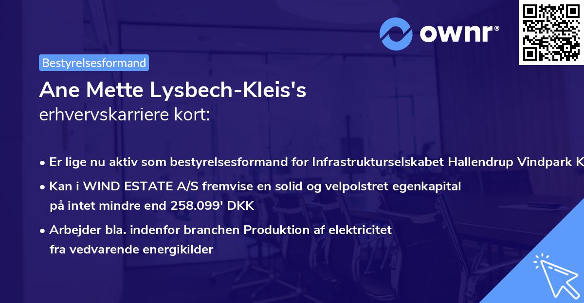 Ane Mette Lysbech-Kleis's erhvervskarriere kort