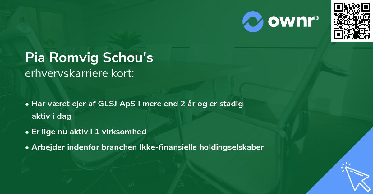 Pia Romvig Schou's erhvervskarriere kort