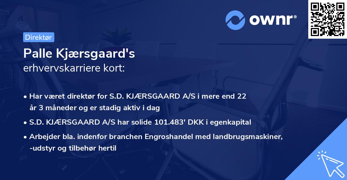 Palle Kjærsgaard's erhvervskarriere kort