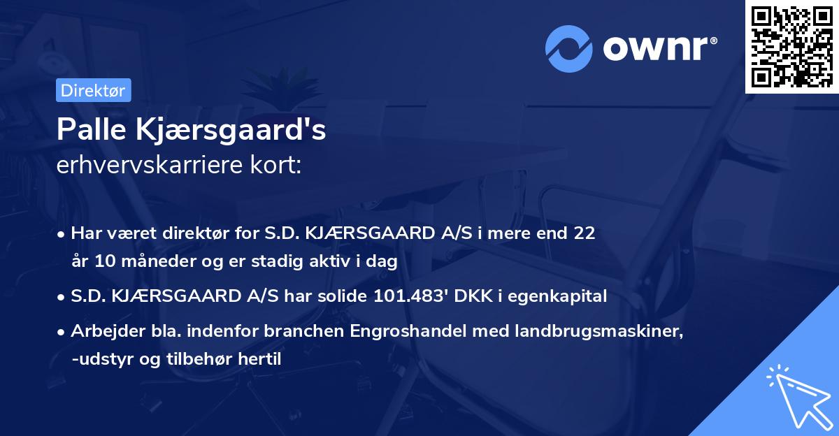 Palle Kjærsgaard's erhvervskarriere kort