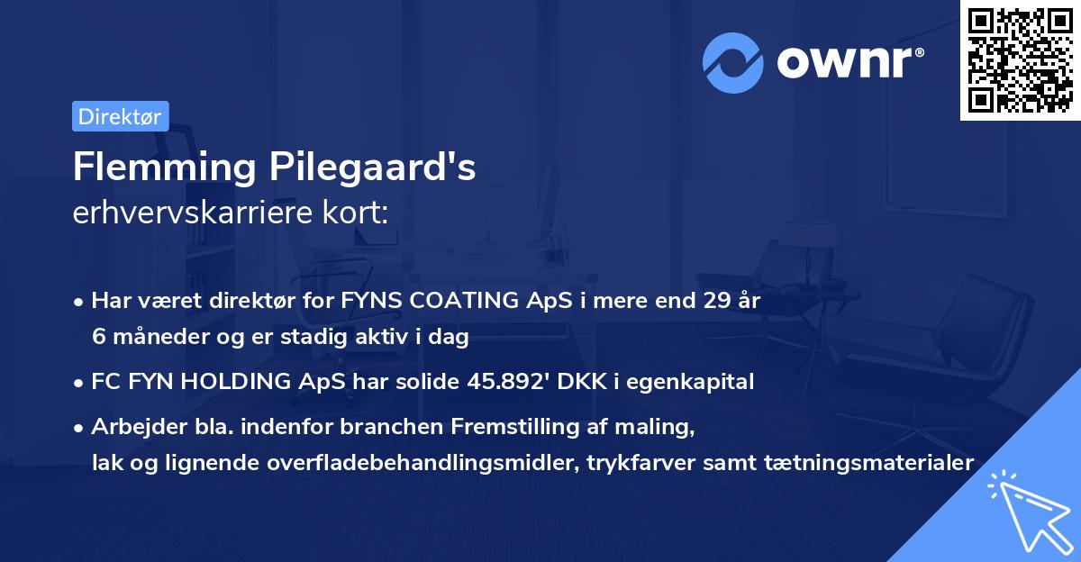 Flemming Pilegaard's erhvervskarriere kort