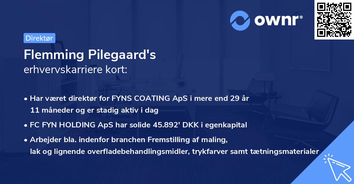 Flemming Pilegaard's erhvervskarriere kort