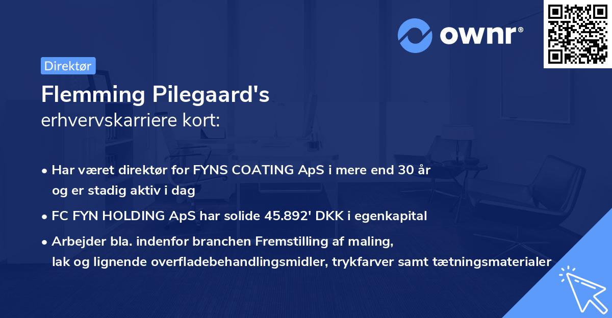 Flemming Pilegaard's erhvervskarriere kort