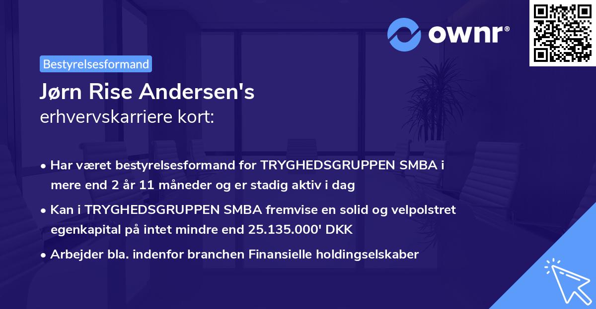 Jørn Rise Andersen's erhvervskarriere kort