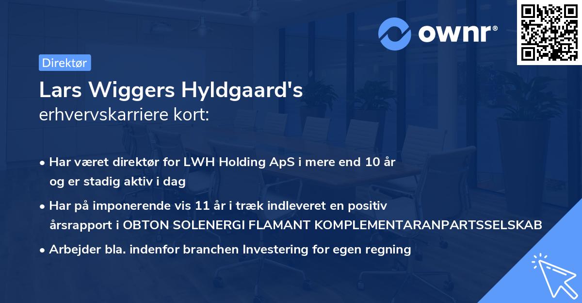 Lars Wiggers Hyldgaard's erhvervskarriere kort
