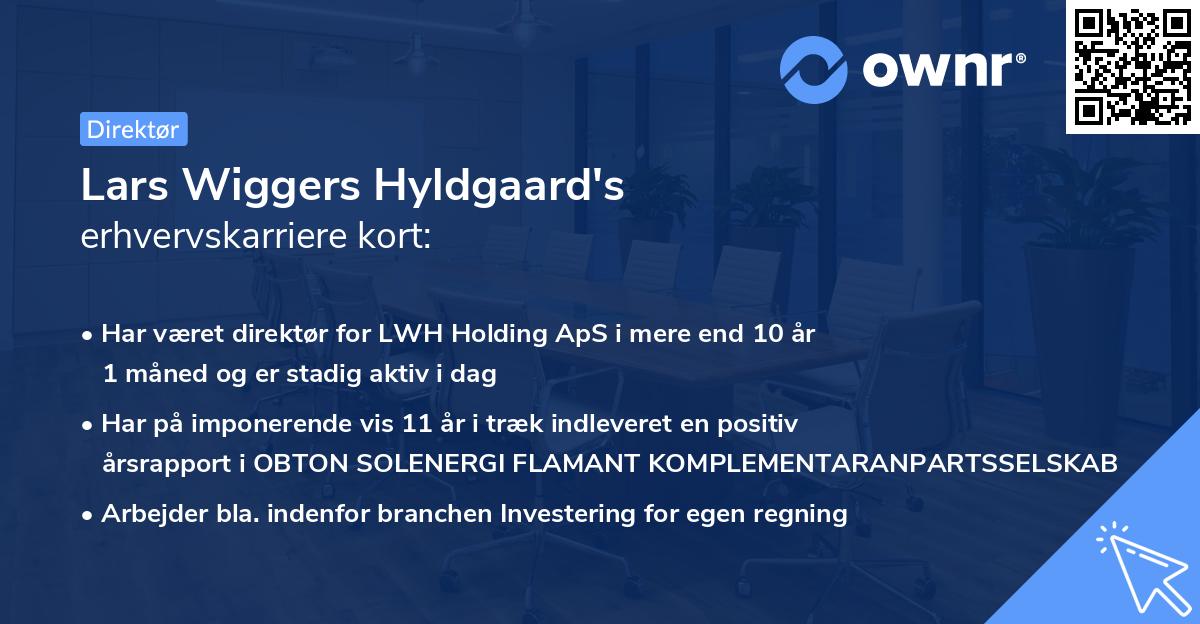 Lars Wiggers Hyldgaard's erhvervskarriere kort