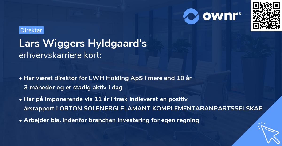 Lars Wiggers Hyldgaard's erhvervskarriere kort