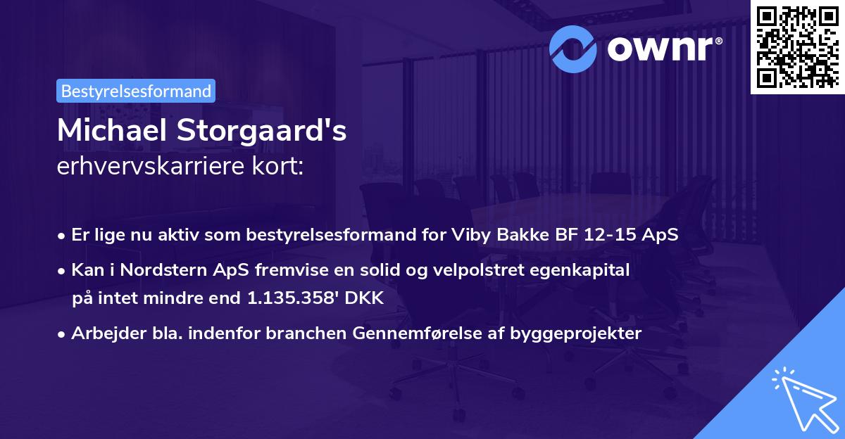 Michael Storgaard's erhvervskarriere kort