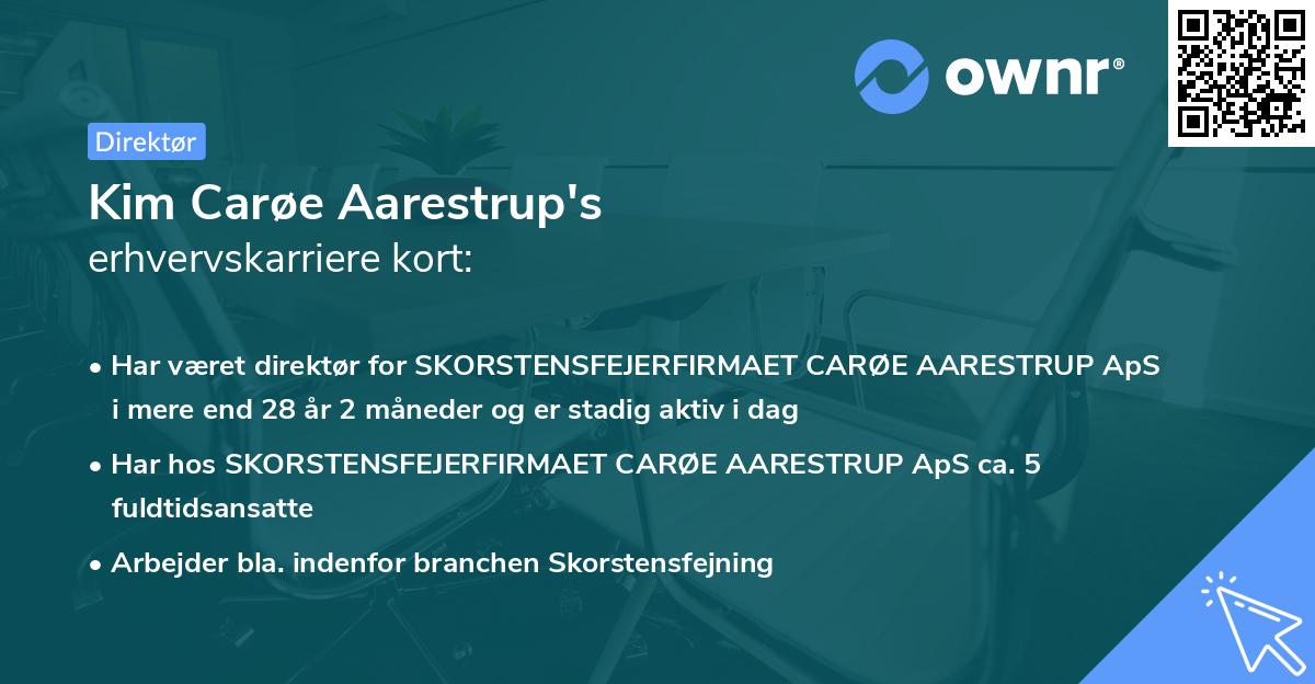 Kim Carøe Aarestrup's erhvervskarriere kort