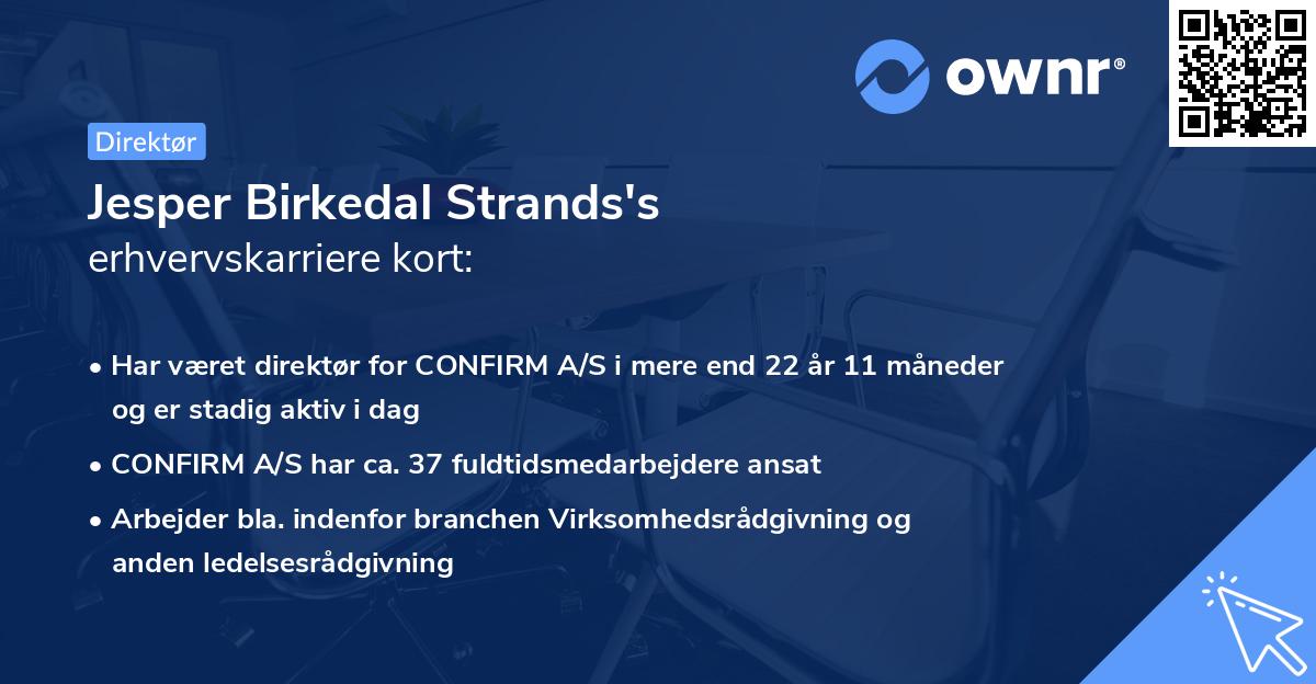 Jesper Birkedal Strands's erhvervskarriere kort