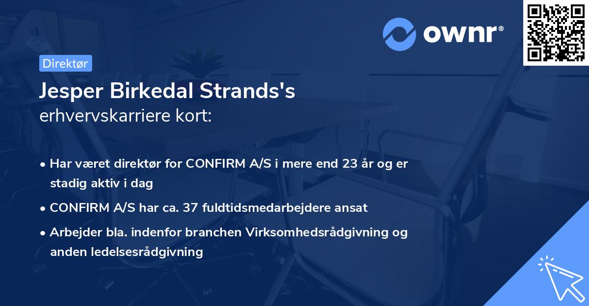 Jesper Birkedal Strands's erhvervskarriere kort