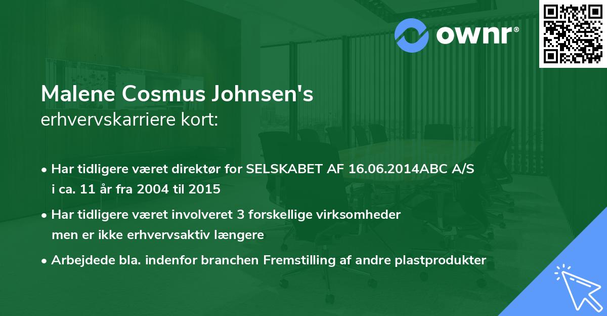 Malene Cosmus Johnsen's erhvervskarriere kort