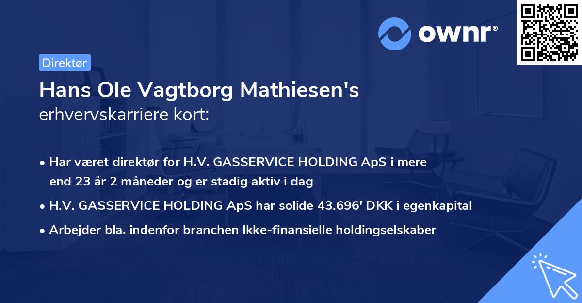 Hans Ole Vagtborg Mathiesen's erhvervskarriere kort