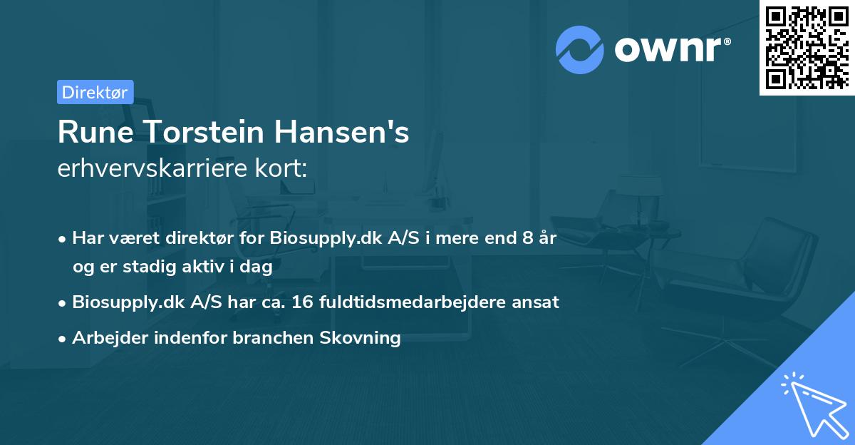 Rune Torstein Hansen's erhvervskarriere kort