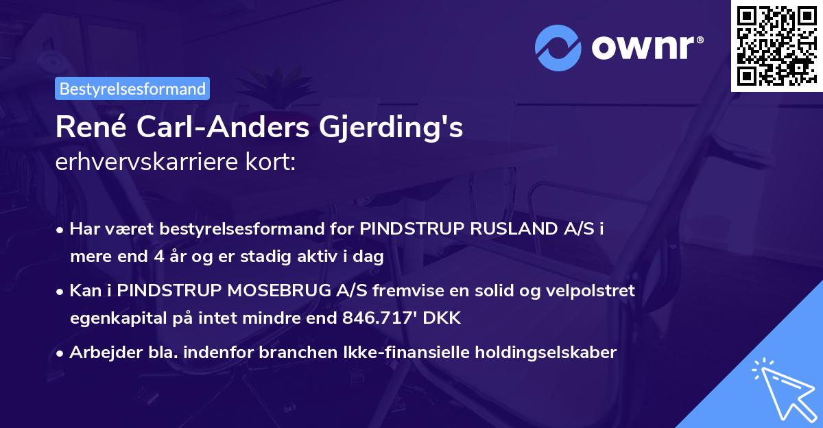 René Carl-Anders Gjerding's erhvervskarriere kort
