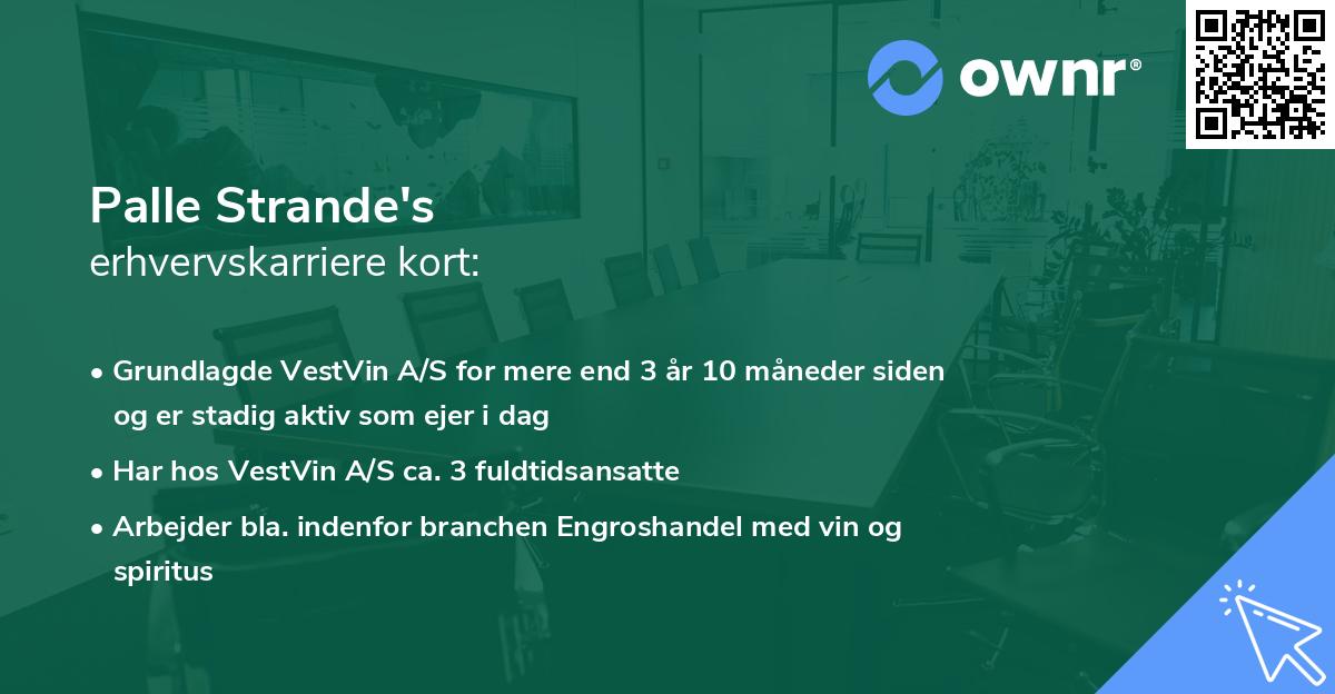 Palle Strande's erhvervskarriere kort