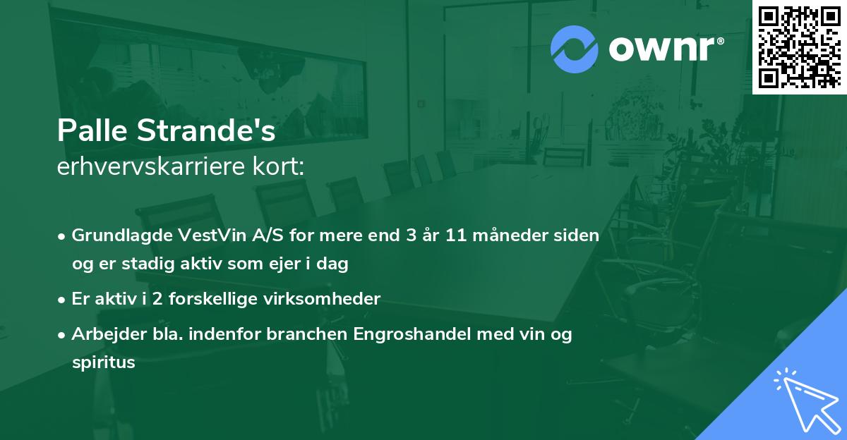 Palle Strande's erhvervskarriere kort
