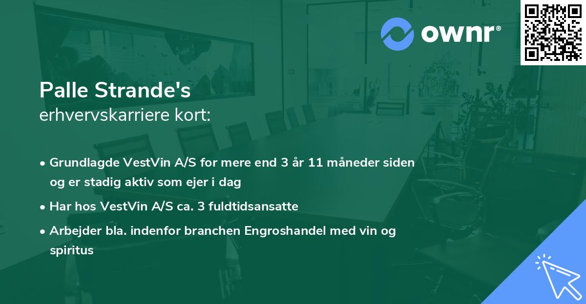 Palle Strande's erhvervskarriere kort