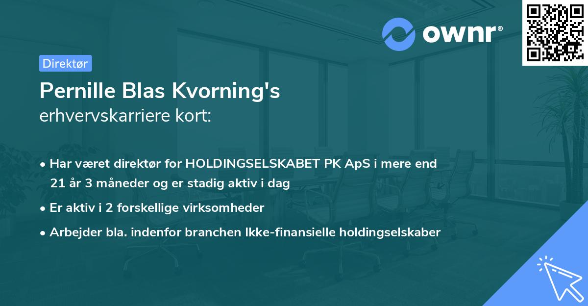 Pernille Blas Kvorning's erhvervskarriere kort