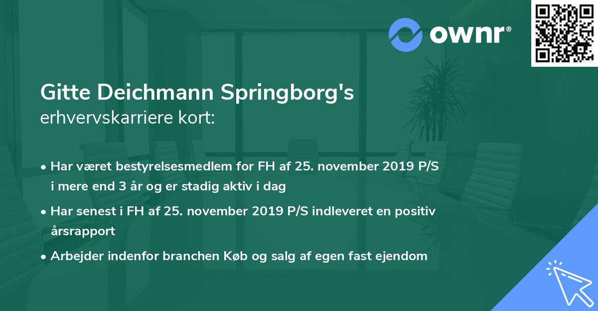 Gitte Deichmann Springborg's erhvervskarriere kort