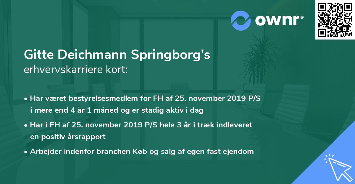 Gitte Deichmann Springborg's erhvervskarriere kort