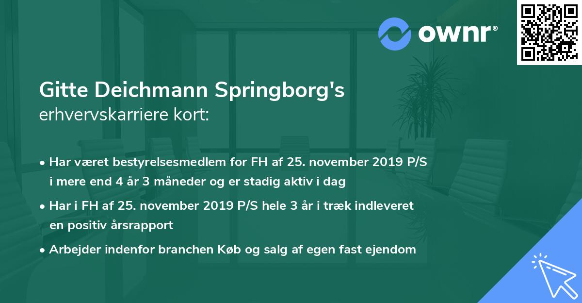 Gitte Deichmann Springborg's erhvervskarriere kort