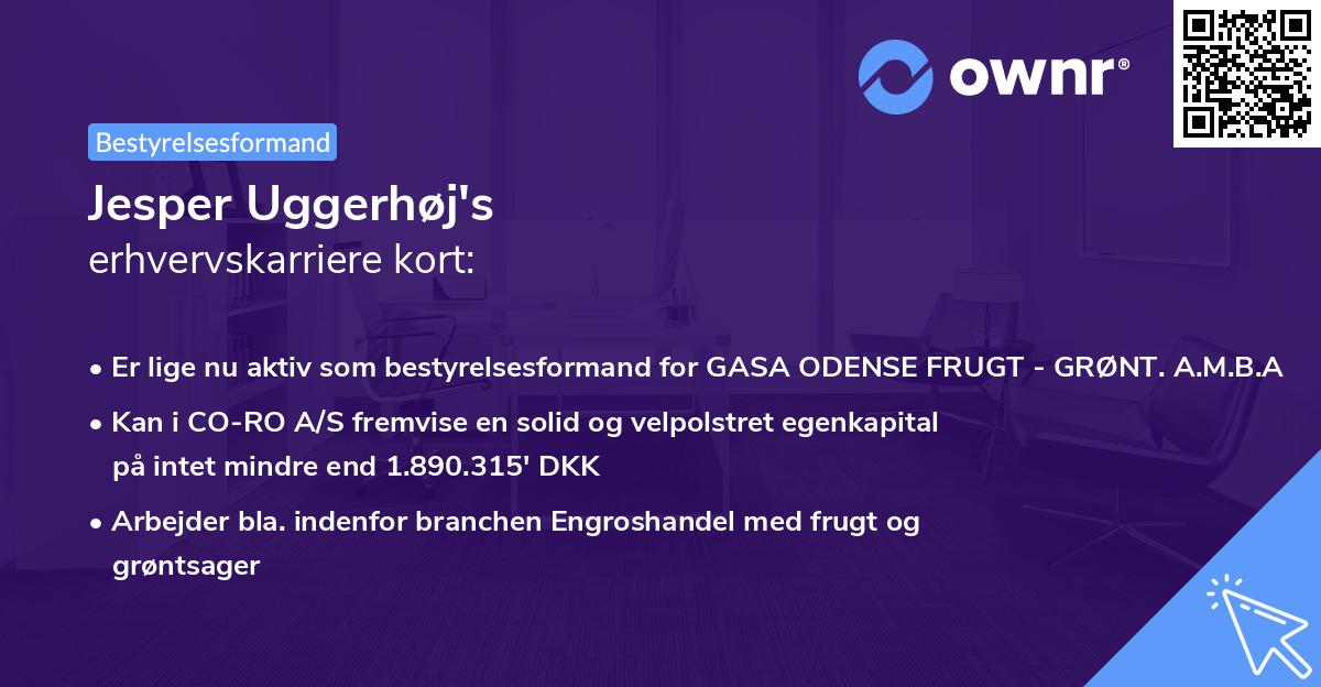 Jesper Uggerhøj's erhvervskarriere kort
