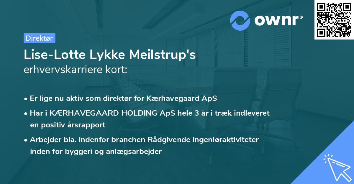 Lise-Lotte Lykke Meilstrup's erhvervskarriere kort
