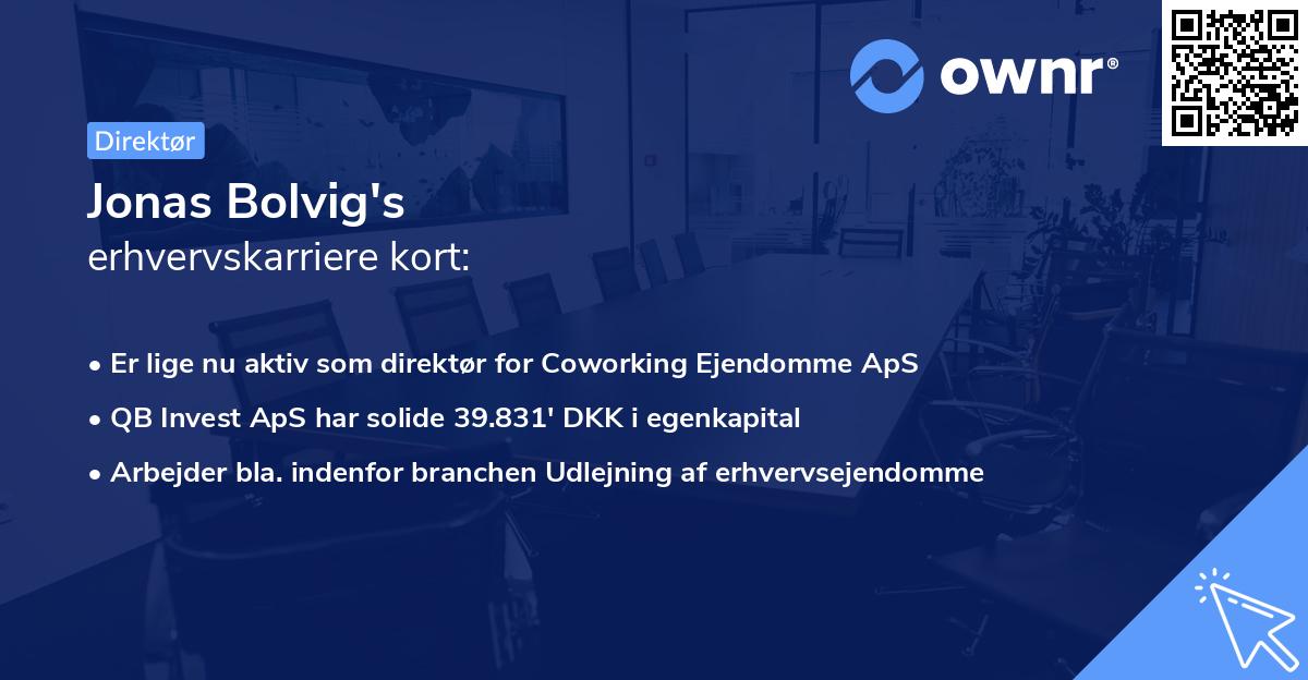 Jonas Bolvig's erhvervskarriere kort