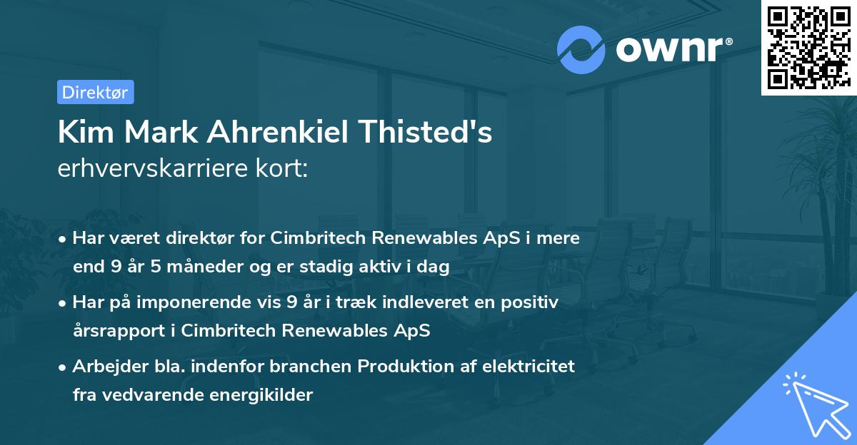 Kim Mark Ahrenkiel Thisted's erhvervskarriere kort