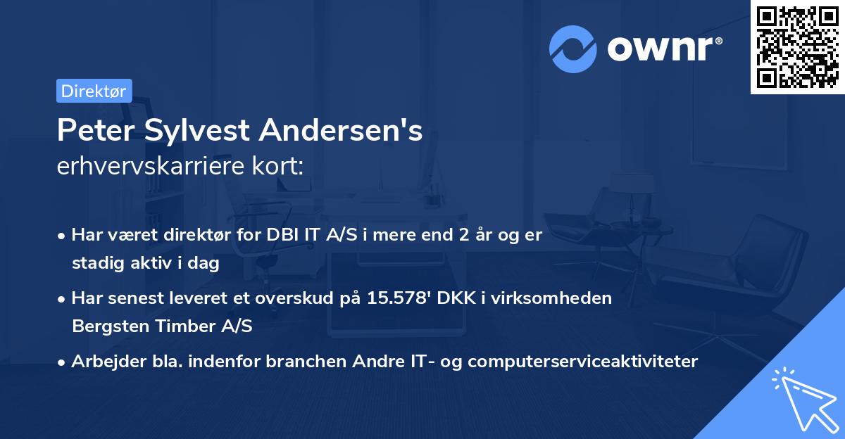 Peter Sylvest Andersen's erhvervskarriere kort