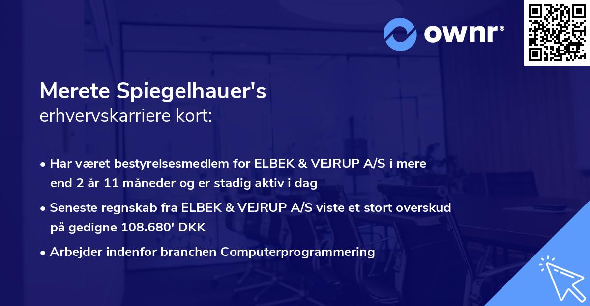 Merete Spiegelhauer's erhvervskarriere kort