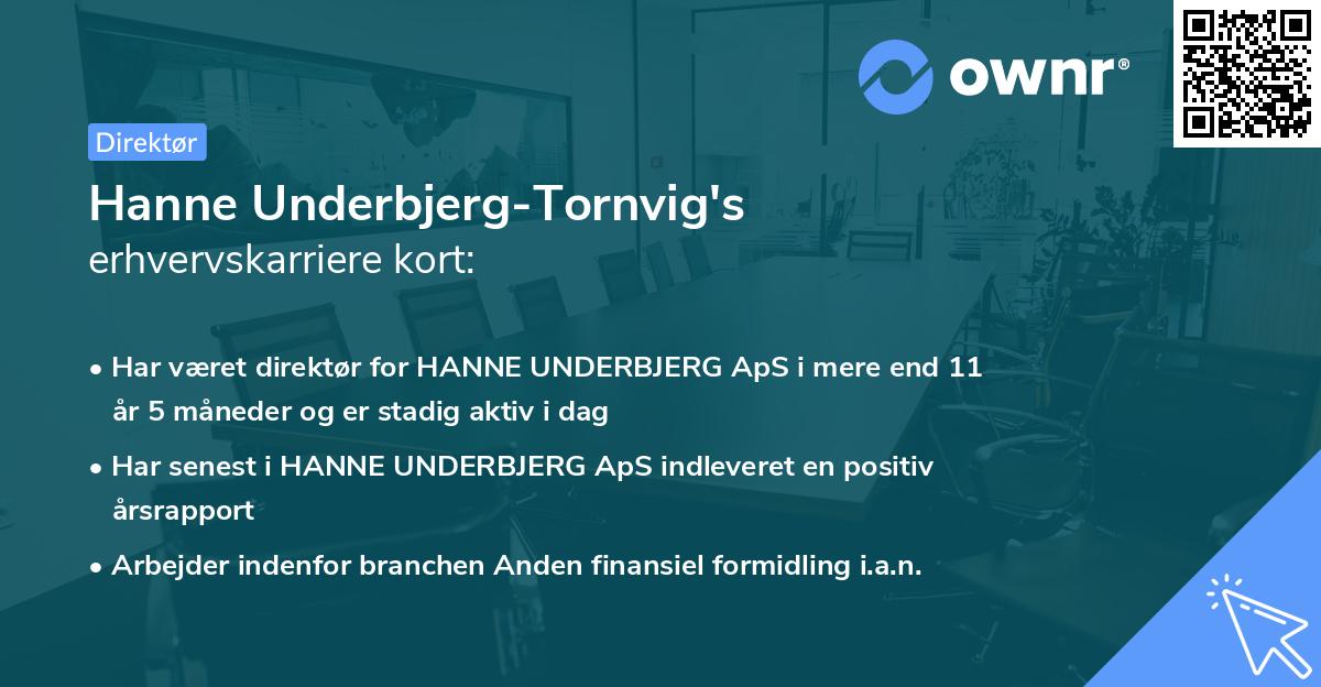 Hanne Underbjerg-Tornvig's erhvervskarriere kort