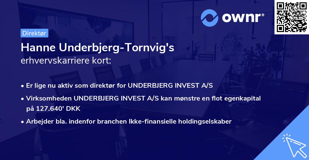 Hanne Underbjerg-Tornvig's erhvervskarriere kort
