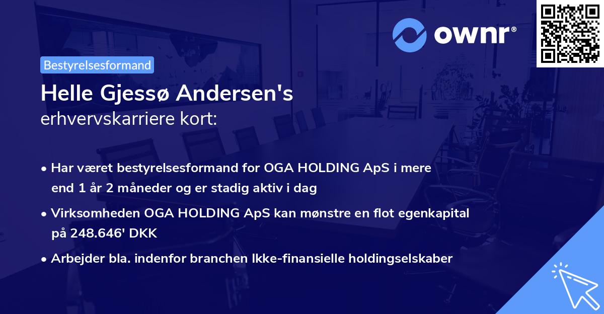 Helle Gjessø Andersen's erhvervskarriere kort