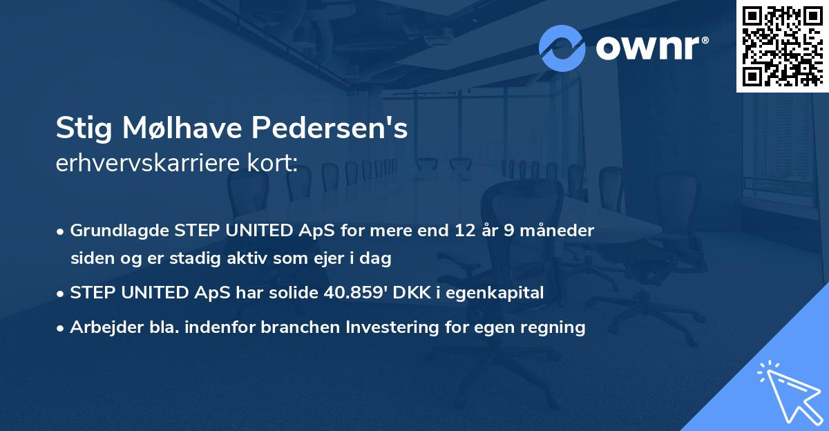 Stig Mølhave Pedersen's erhvervskarriere kort
