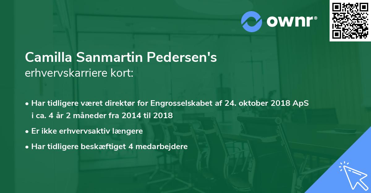 Camilla Sanmartin Pedersen's erhvervskarriere kort