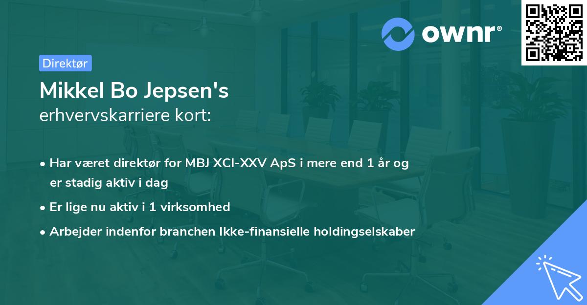 Mikkel Bo Jepsen's erhvervskarriere kort