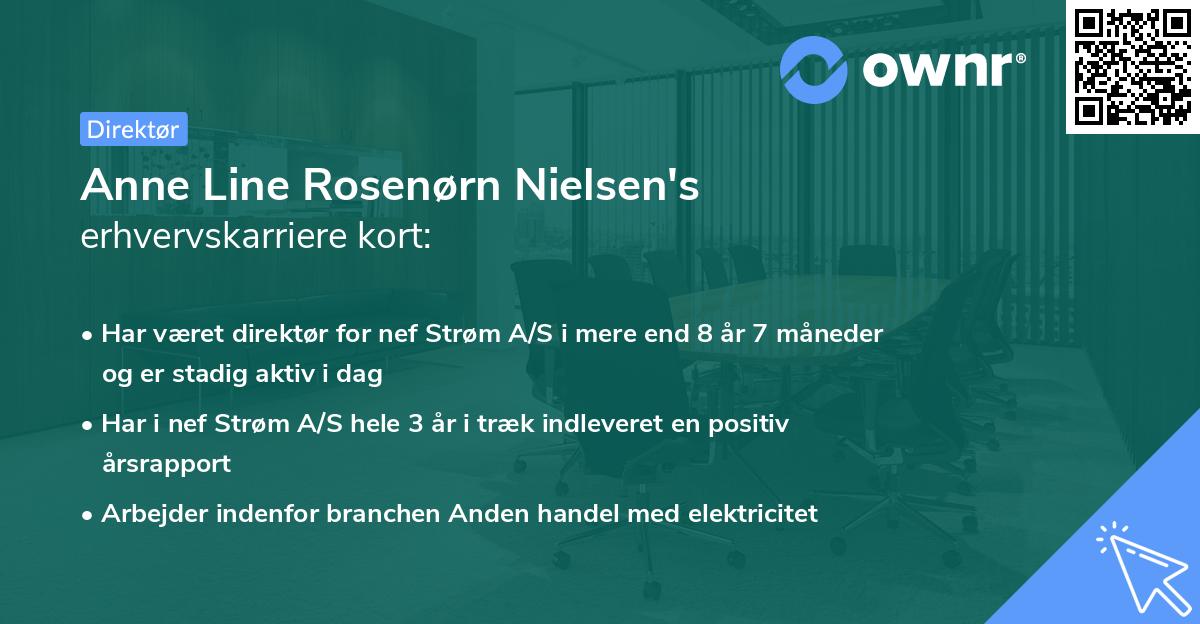 Anne Line Rosenørn Nielsen's erhvervskarriere kort