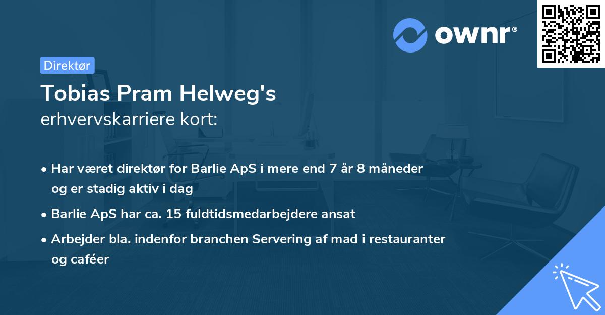 Tobias Pram Helweg's erhvervskarriere kort