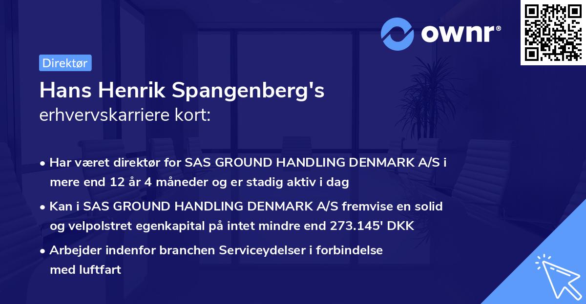 Hans Henrik Spangenberg's erhvervskarriere kort