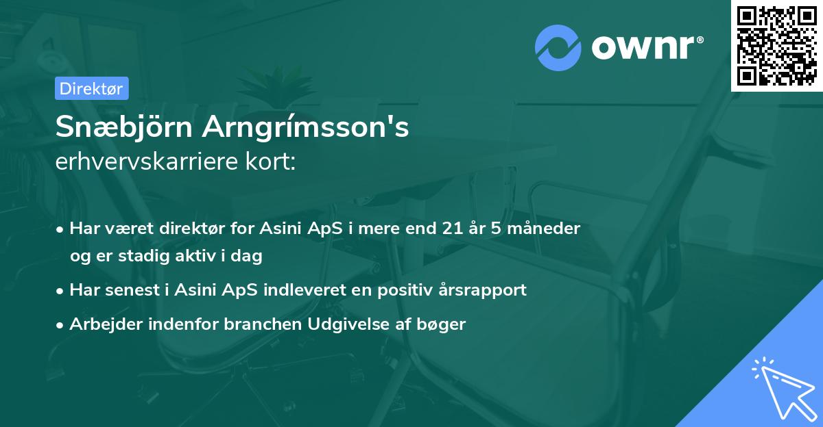 Snæbjörn Arngrímsson's erhvervskarriere kort