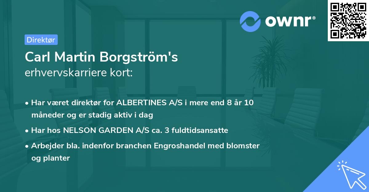 Carl Martin Borgström's erhvervskarriere kort