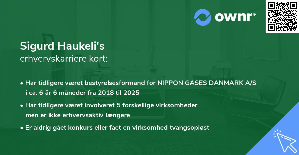 Sigurd Haukeli's erhvervskarriere kort