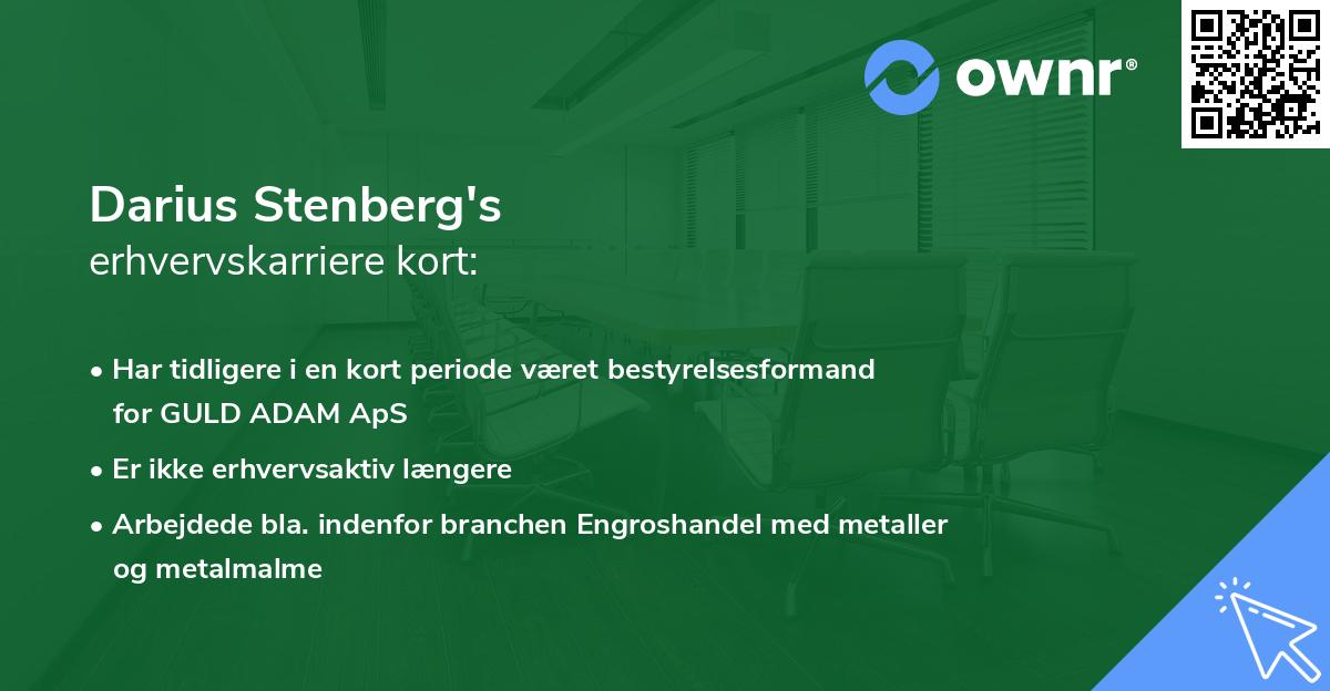 Darius Stenberg's erhvervskarriere kort