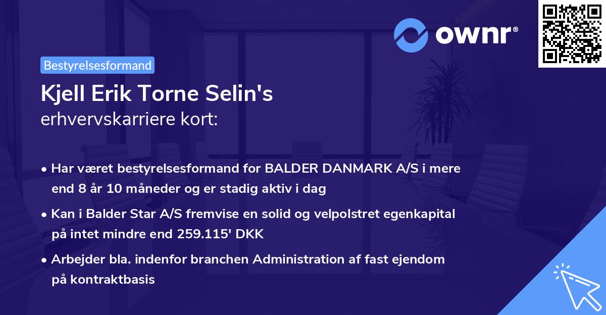 Kjell Erik Torne Selin's erhvervskarriere kort