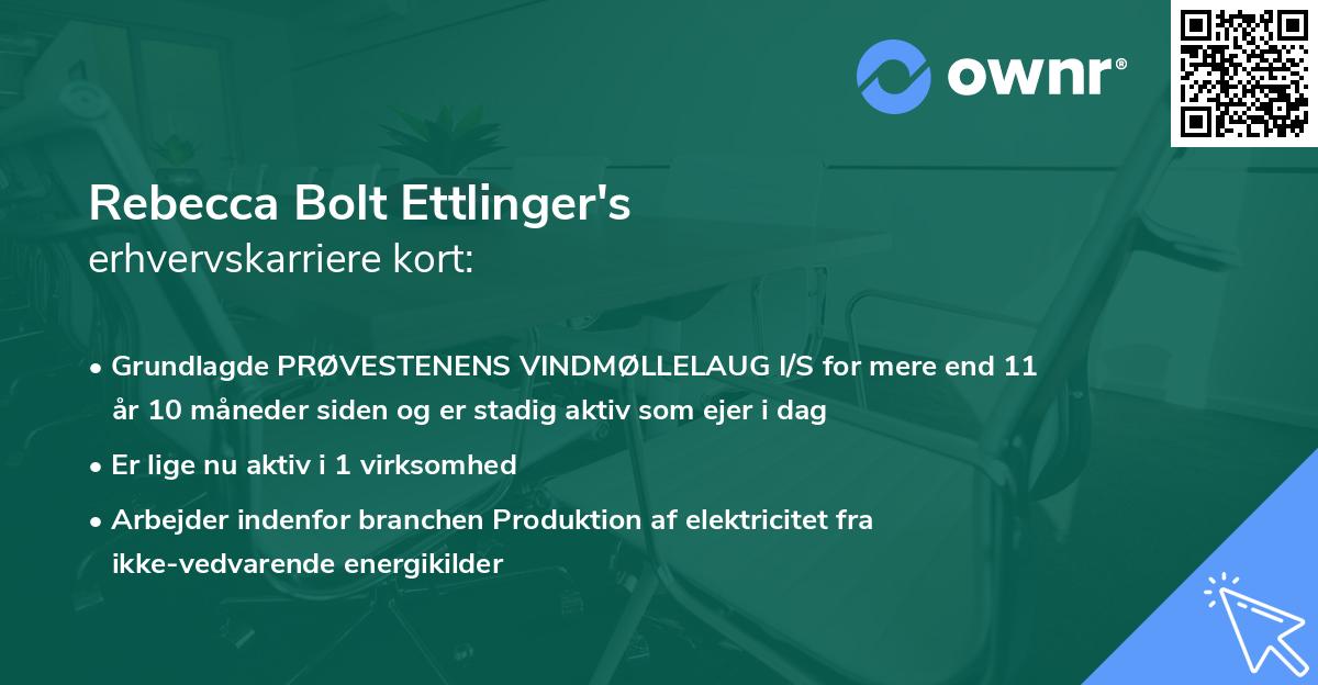 Rebecca Bolt Ettlinger's erhvervskarriere kort