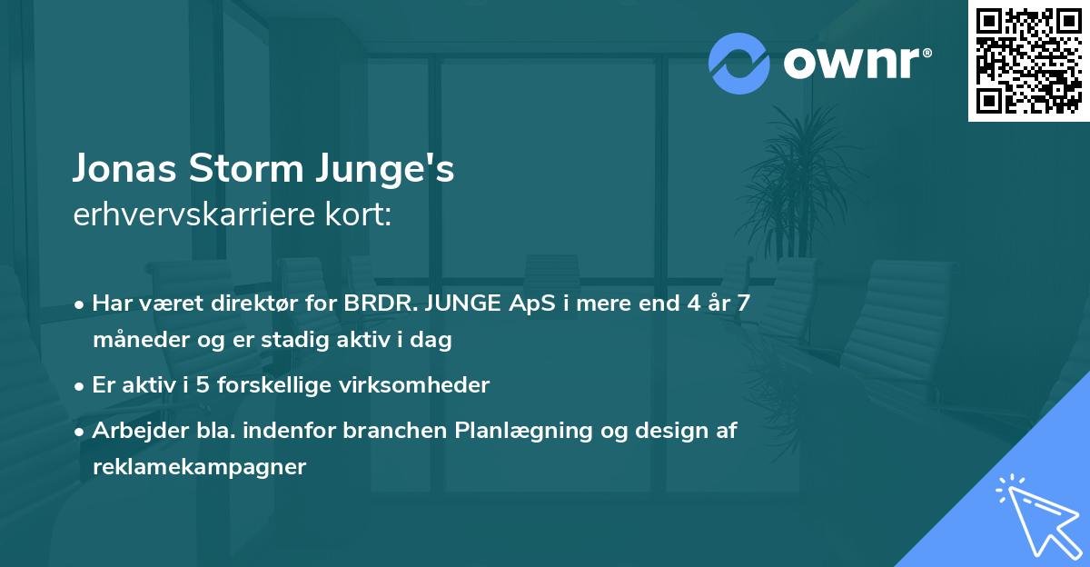 Jonas Storm Junge's erhvervskarriere kort